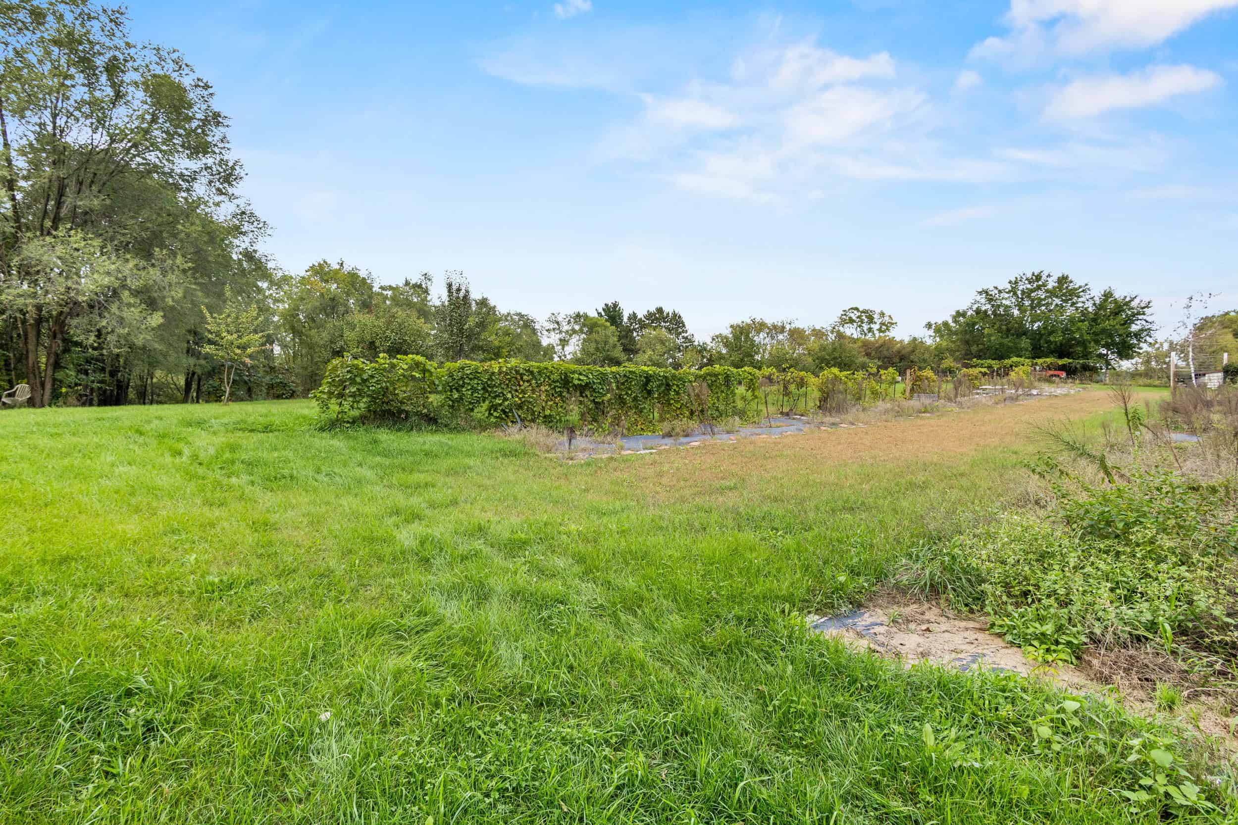 Columbia County 9 Bedroom Farmette on 19.5 Acres