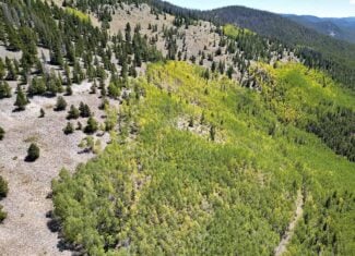 140 ± Acre Mountain Property for Sale in Whitepine, Colorado