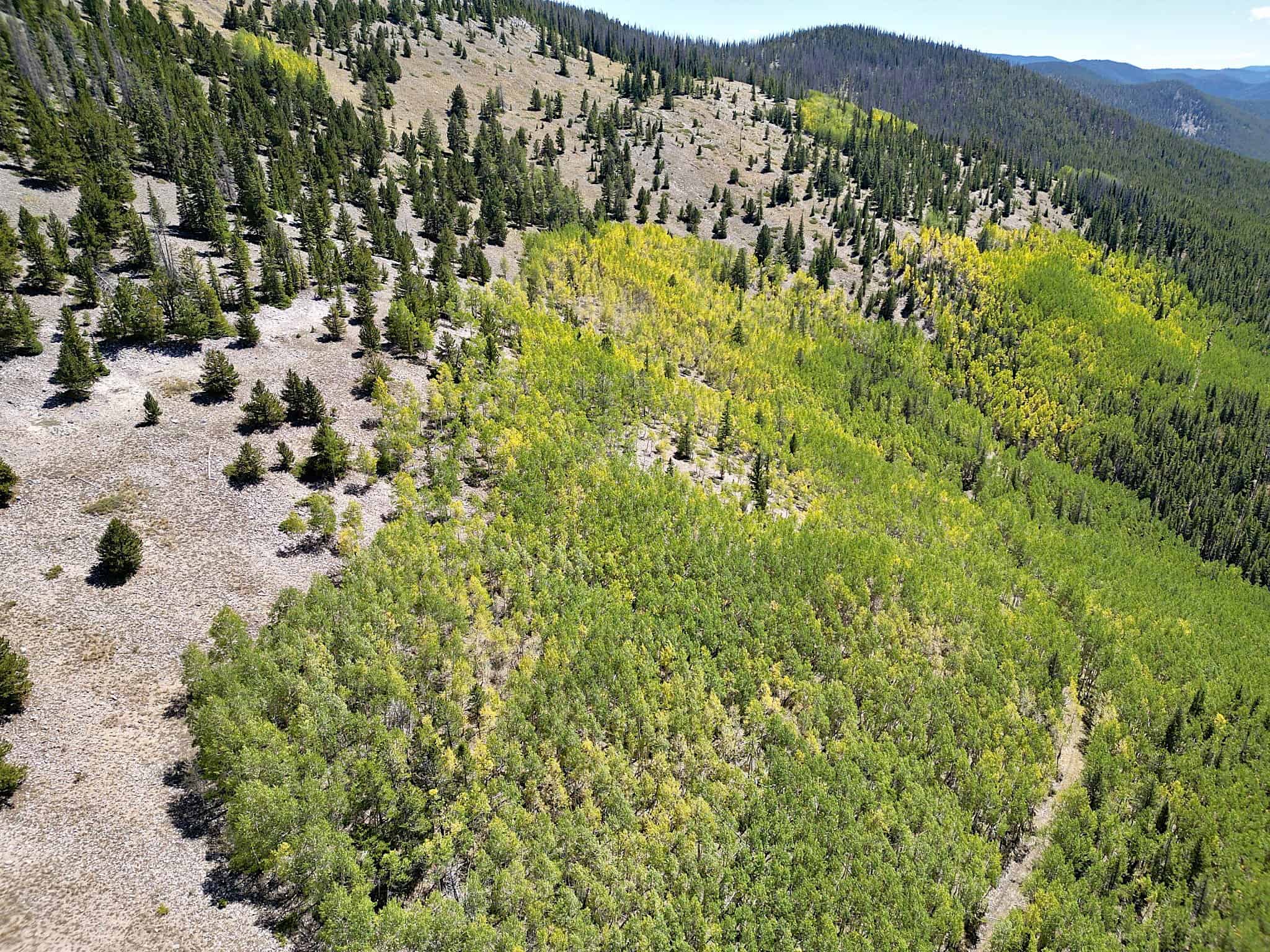 140 ± Acre Mountain Property for Sale in Whitepine, Colorado