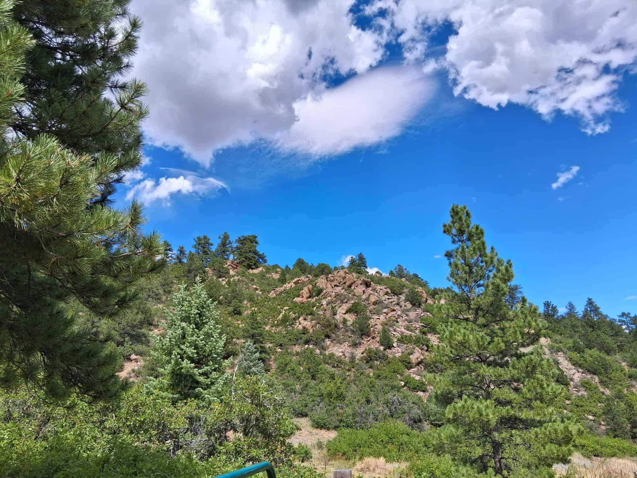 170.68 ± Acre Hunting Ranch by National Forest | Florence, CO