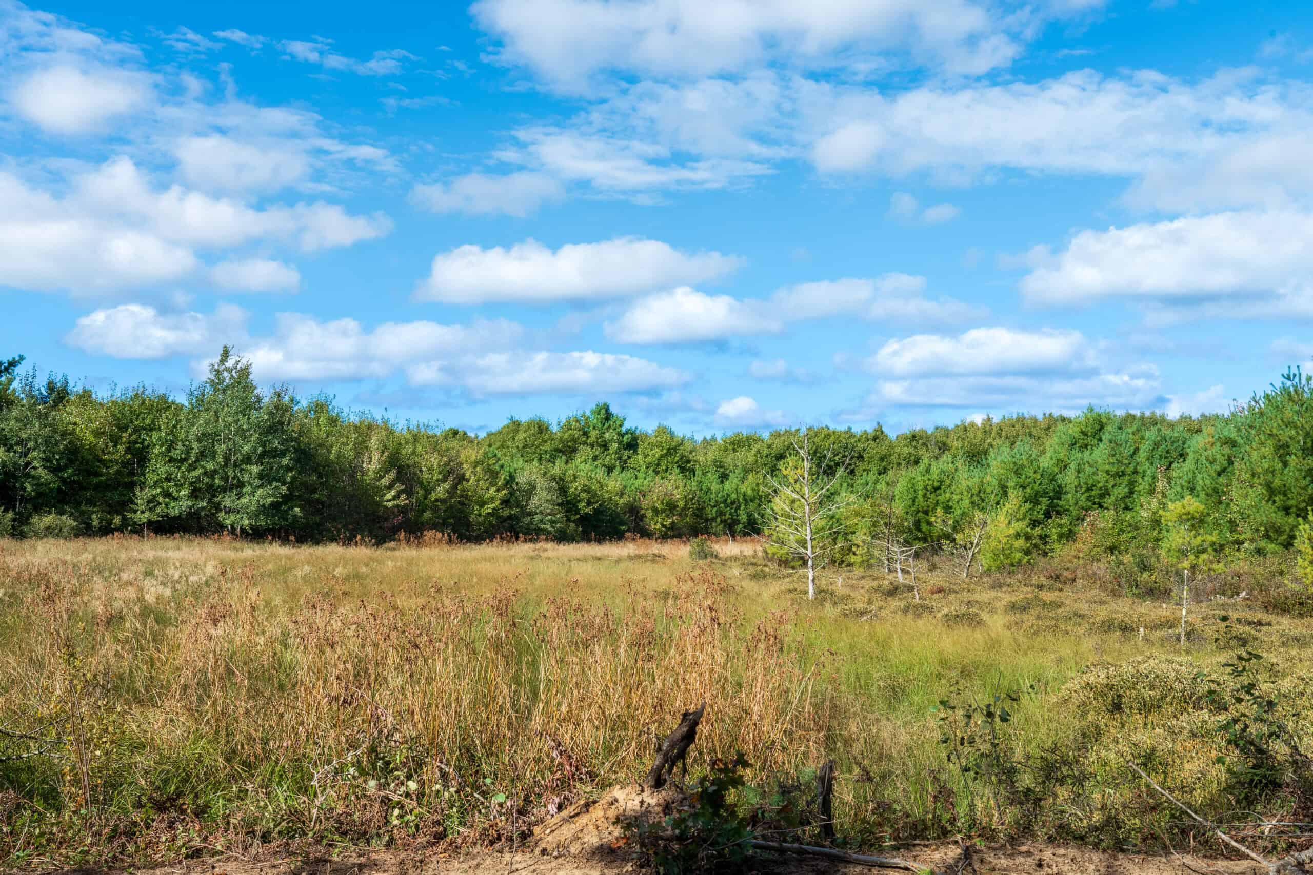 369± acres of premier recreational and hunting land in Eau Claire County