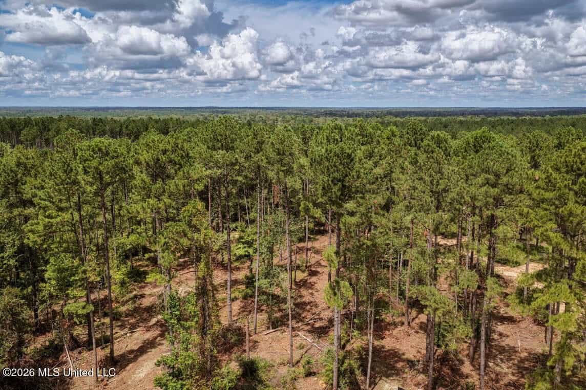 900 Acres for Sale – Hunter’s Paradise South Mississippi