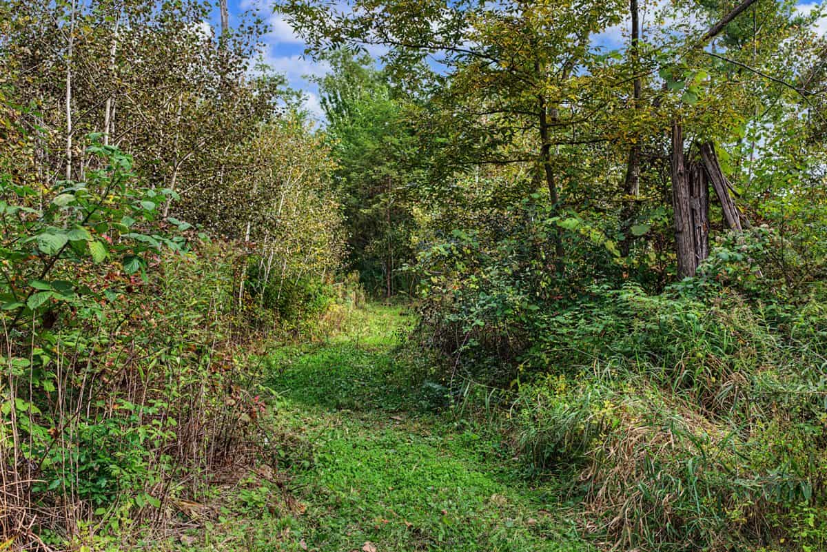 Turnkey 28± Acre Hunting Property Near Melrose, Wisconsin