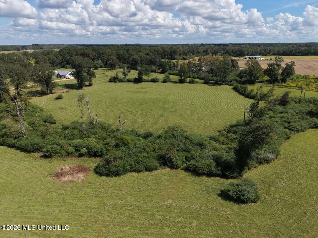 23± Acre Homesite & Pasture in Amite County, MS