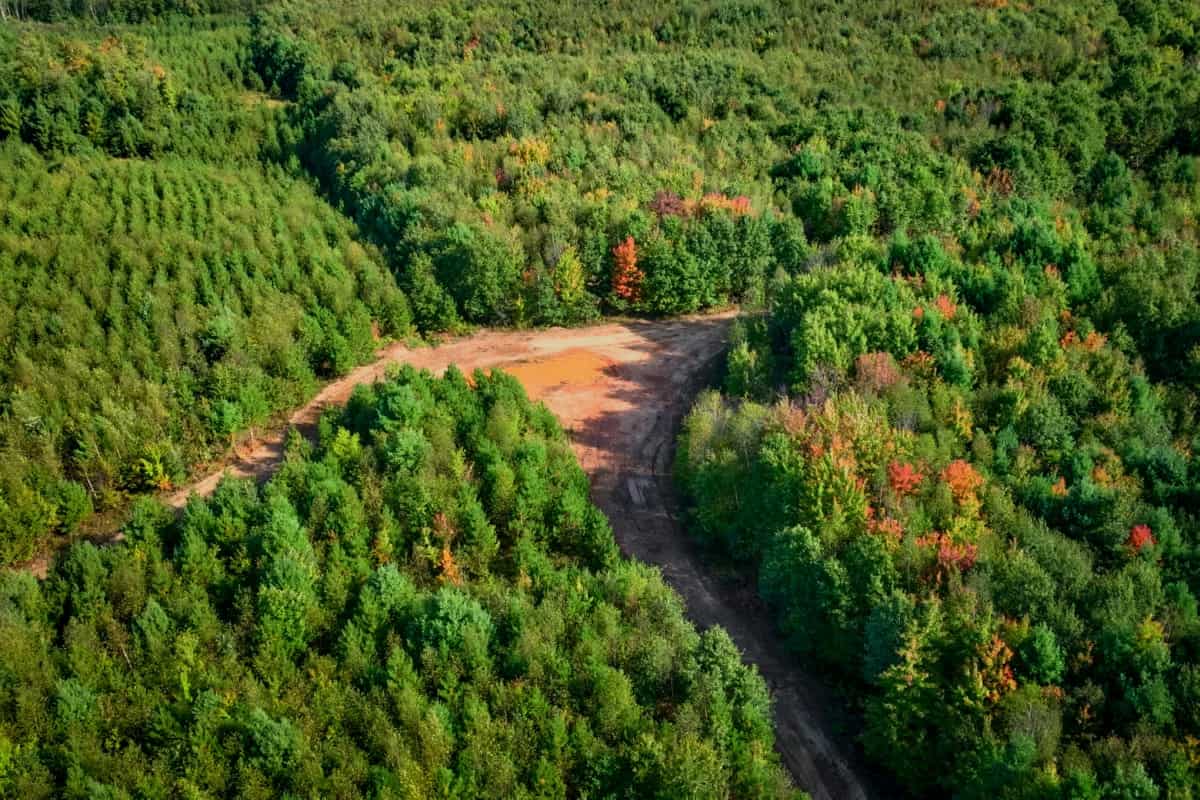 204.74± acres of premier recreational and hunting land in Eau Claire County