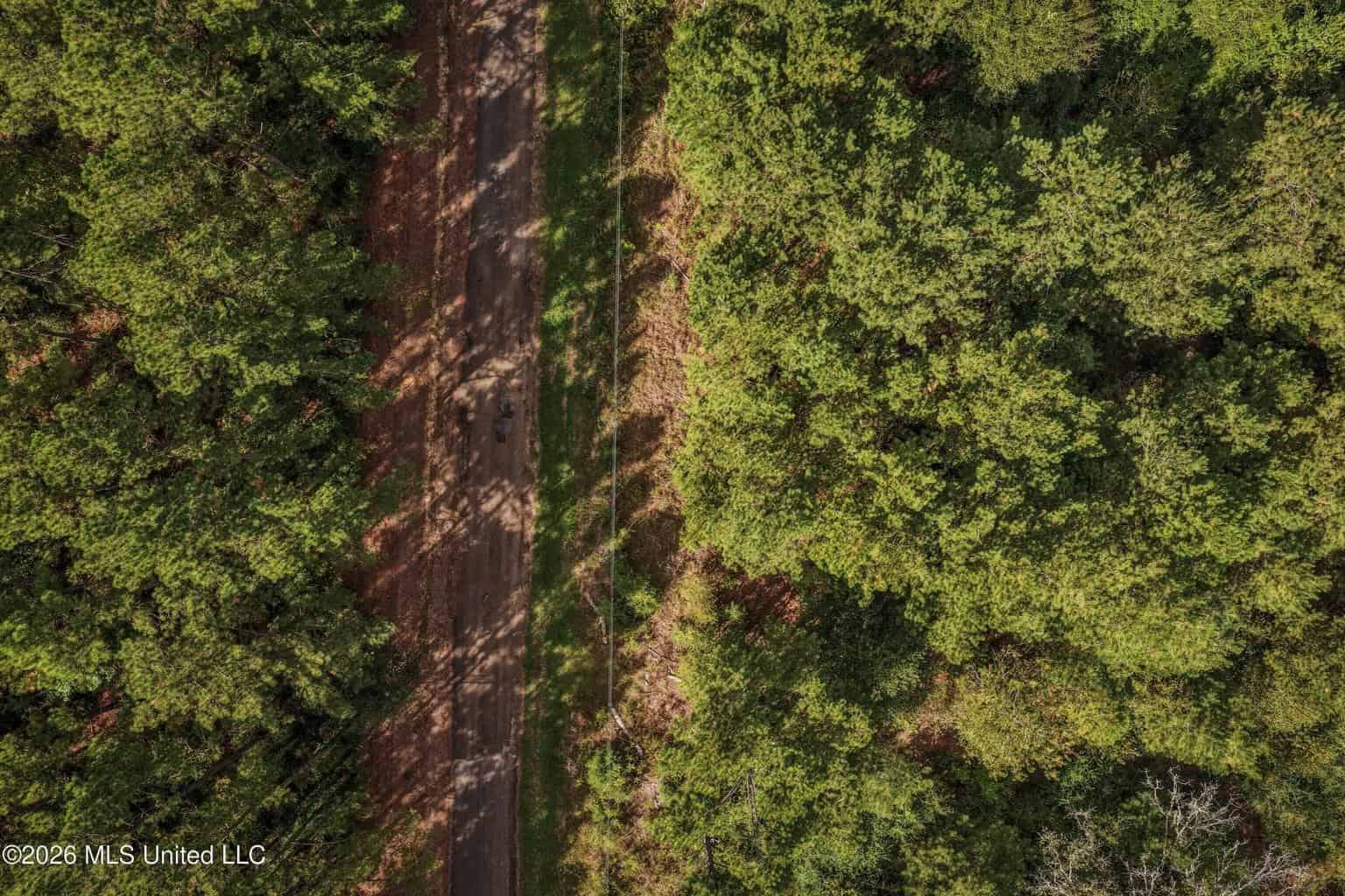 19.7+/- Acres of Wooded Land for Sale in Magnolia, MS