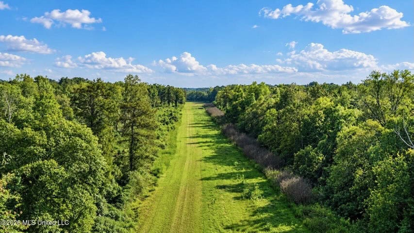 1979± Acre Hunting Plantation in White Castle, LA