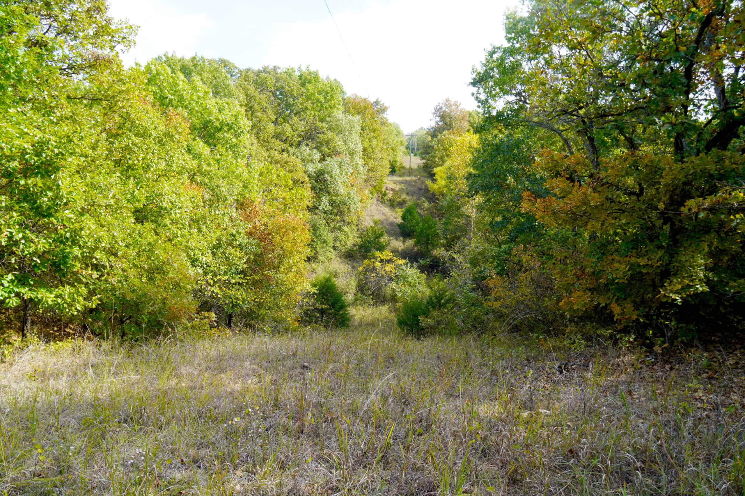 80 Acres +/- Hunting/Recreational Land For Sale Central Oklahoma