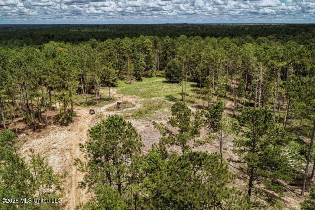 900 Acres for Sale – Hunter’s Paradise South Mississippi