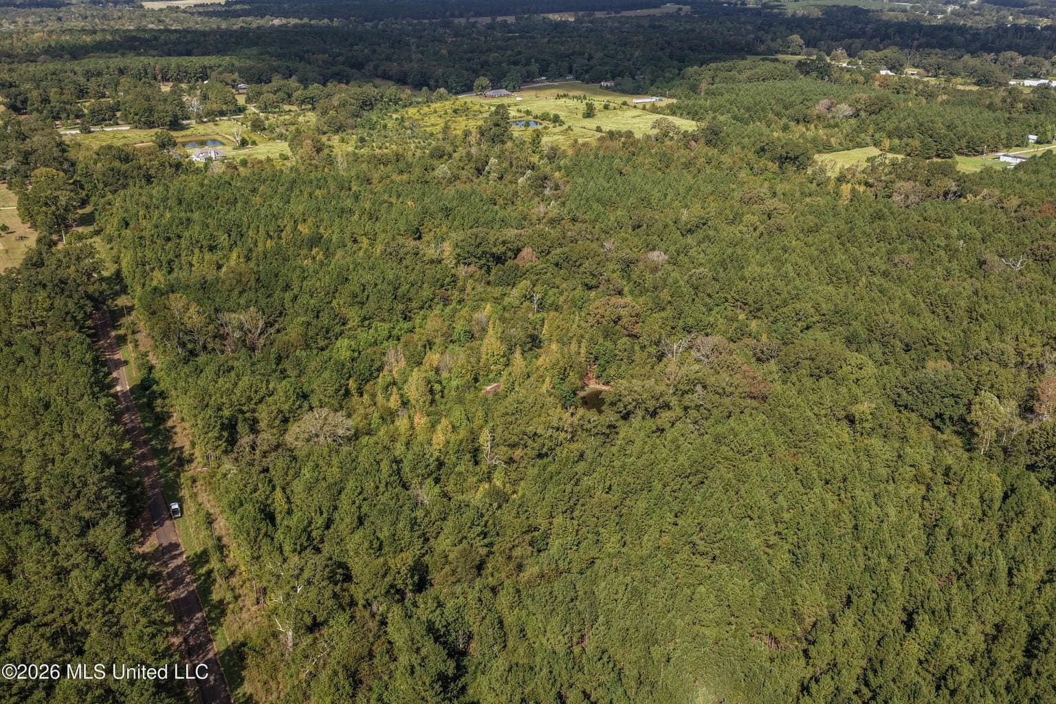 19.7+/- Acres of Wooded Land for Sale in Magnolia, MS