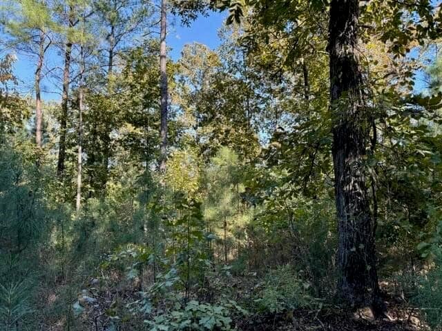 63 Acres Land For Sale Near Starkville MS