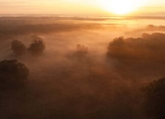 126-Acre Recreational Ranch for Sale in Mineola Texas Wood County