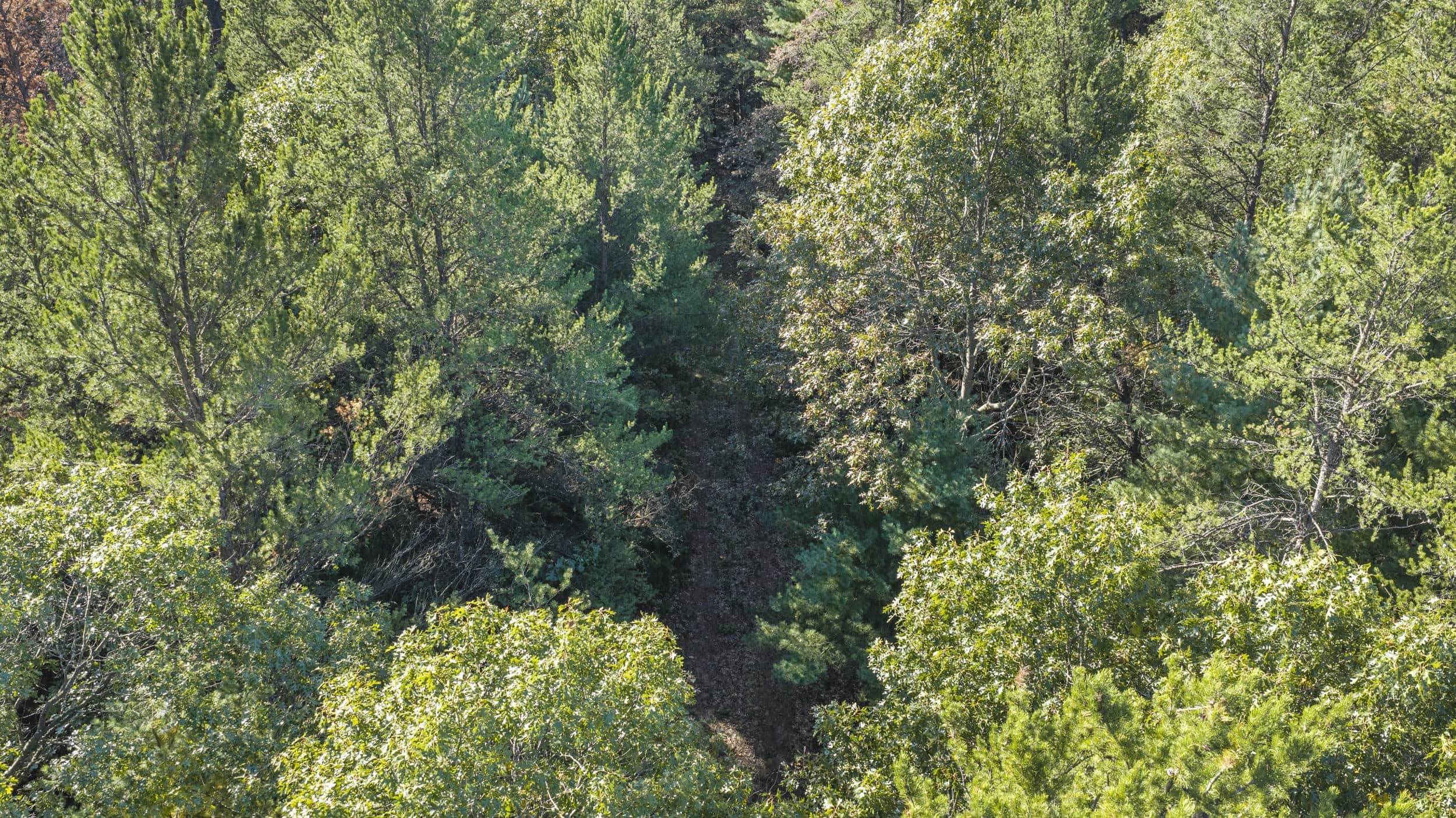 Buildable Hunting and Rec Property in Marquette County WI