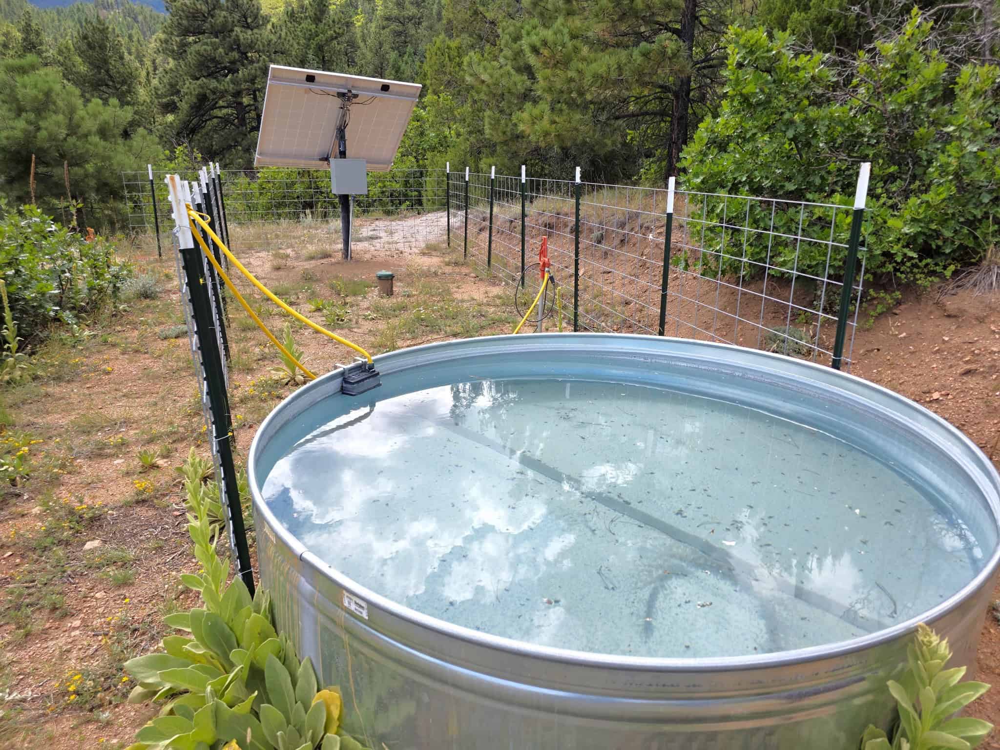170.68 ± Acre Hunting Ranch by National Forest | Florence, CO