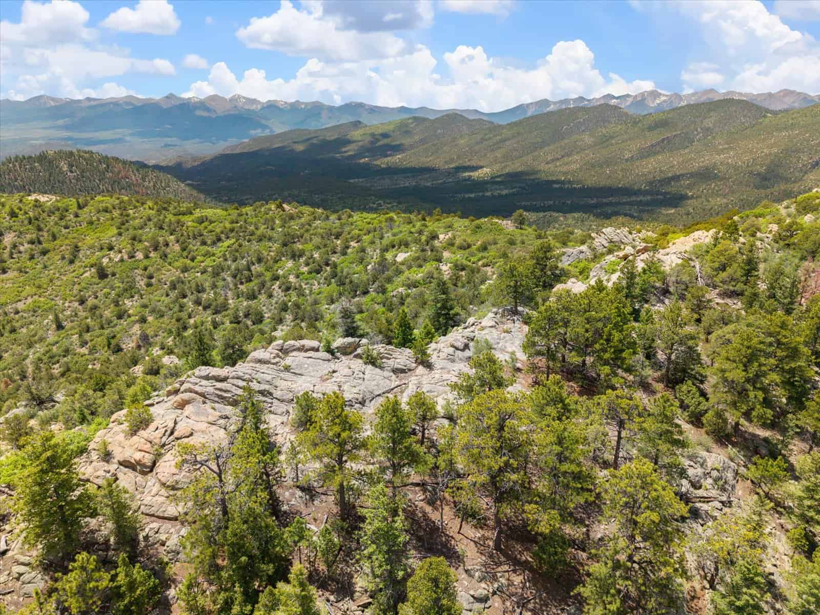 44 ± Acre Luxury Mountain Home for Sale Near Cotopaxi, CO