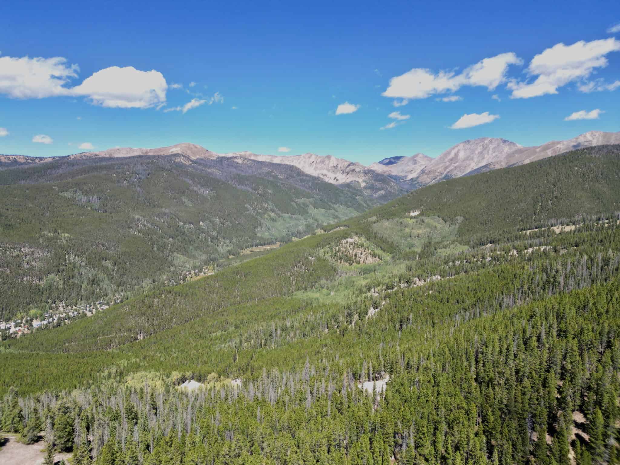 140 ± Acre Mountain Property for Sale in Whitepine, Colorado