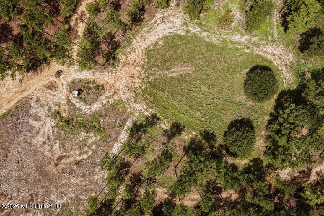 900 Acres for Sale – Hunter’s Paradise South Mississippi
