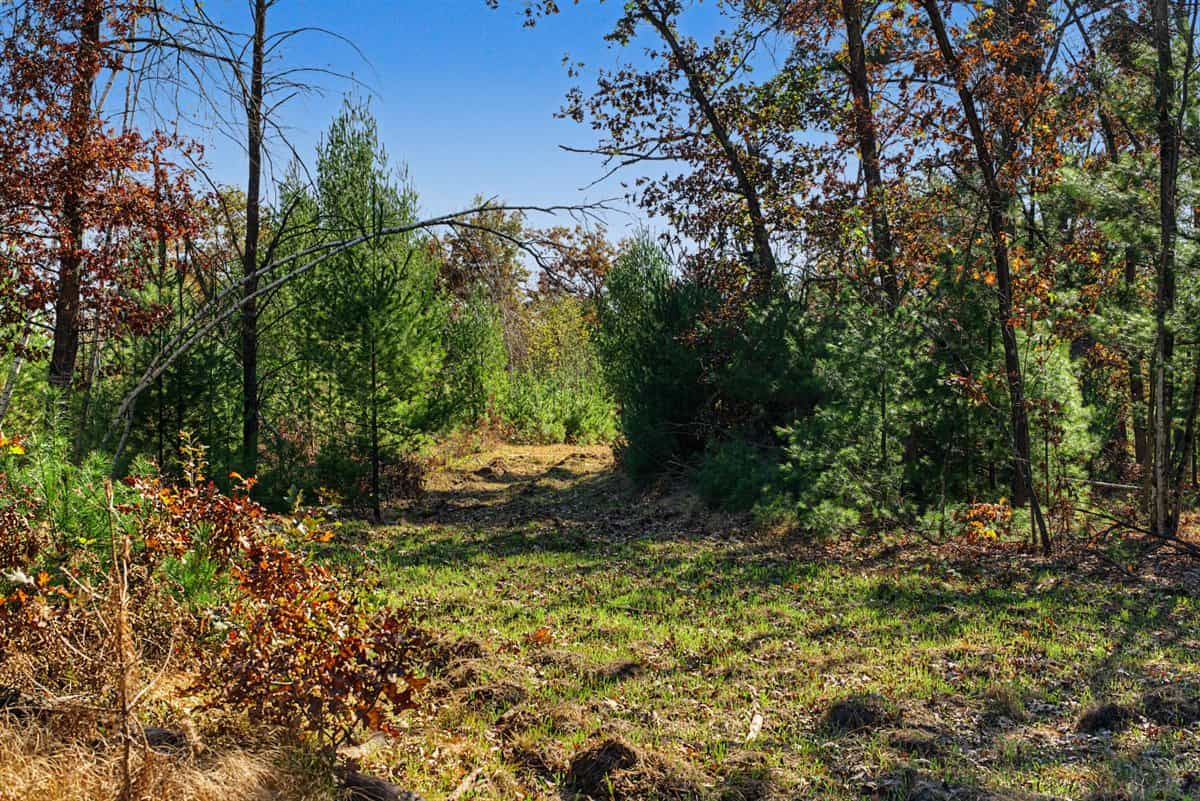 28± Acre Hunting Property with Cabin | Monroe County, Wisconsin