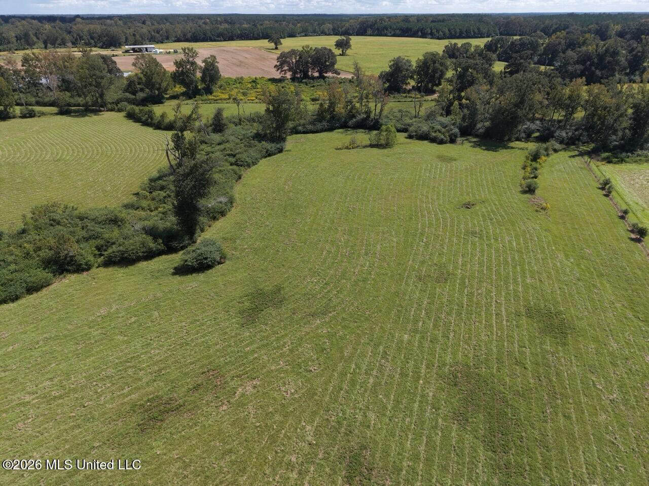 23± Acre Homesite & Pasture in Amite County, MS