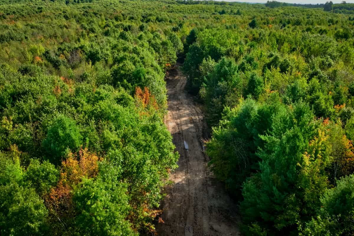 204.74± acres of premier recreational and hunting land in Eau Claire County