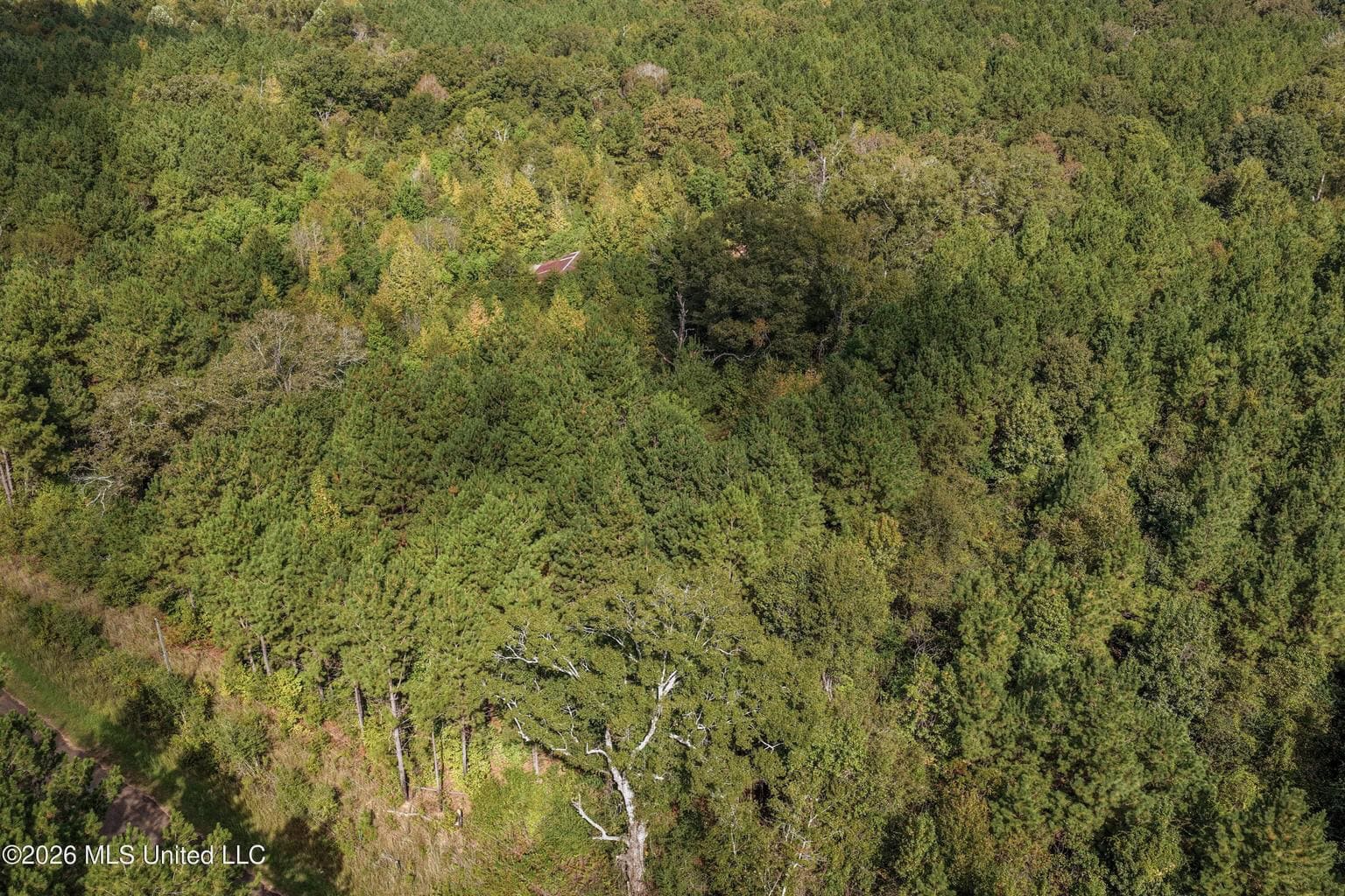 19.7+/- Acres of Wooded Land for Sale in Magnolia, MS