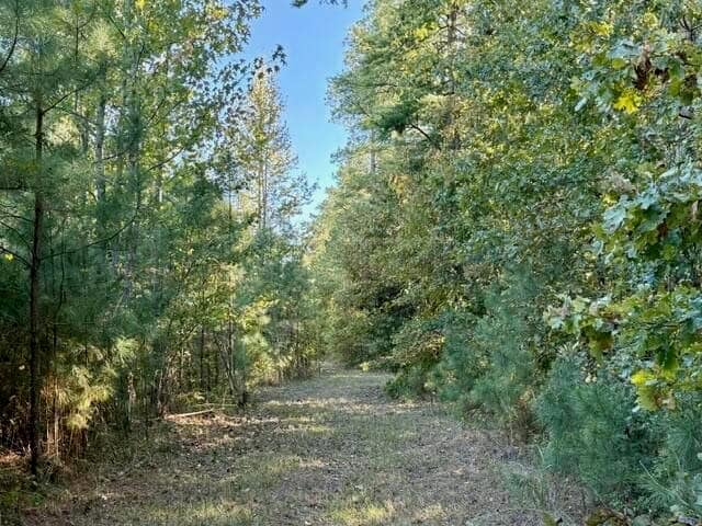 63 Acres Land For Sale Near Starkville MS