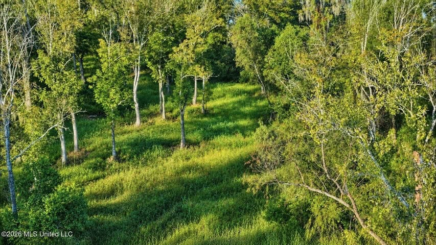 1979± Acre Hunting Plantation in White Castle, LA