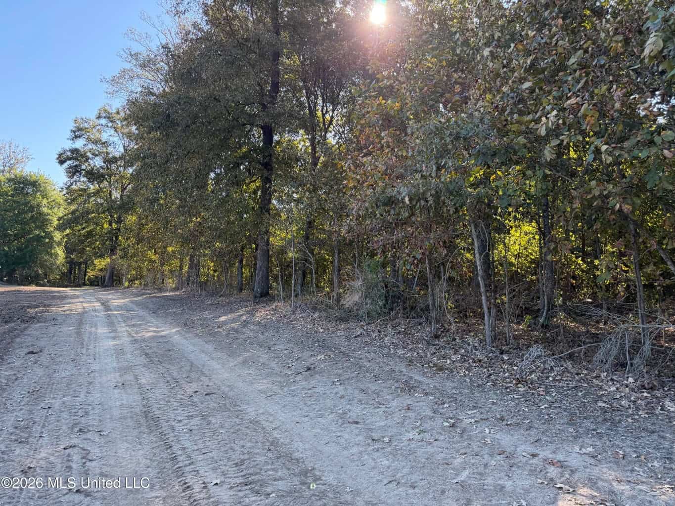 41.22 Acres MS Delta Duck Hunting