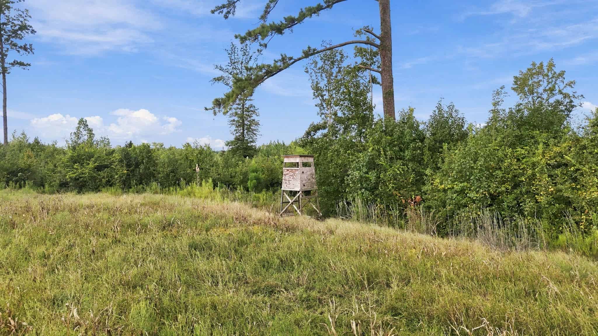 309-Acre Farm & Timberland for Sale in Beaufort County, NC