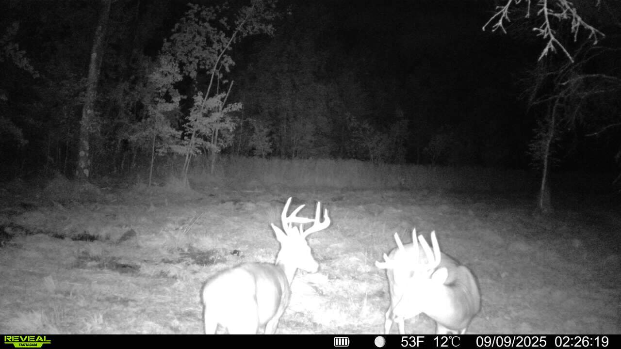 28± Acre Hunting Property with Cabin | Monroe County, Wisconsin