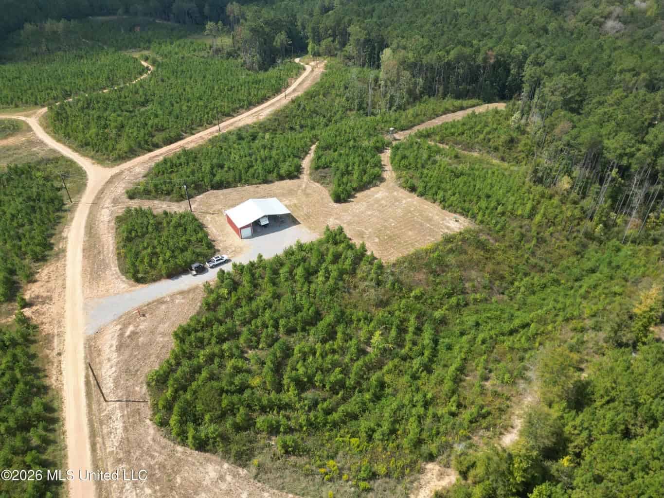 43± Acre Hunting Property in Amite County, MS