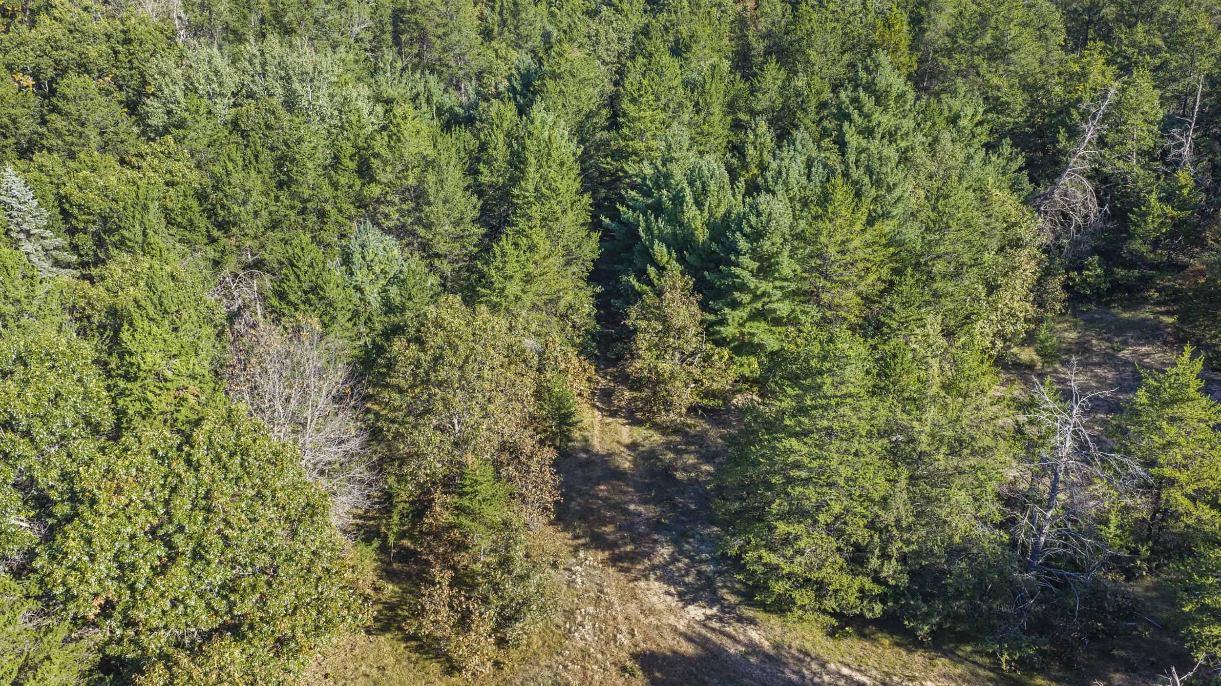 Buildable Hunting and Rec Property in Marquette County WI