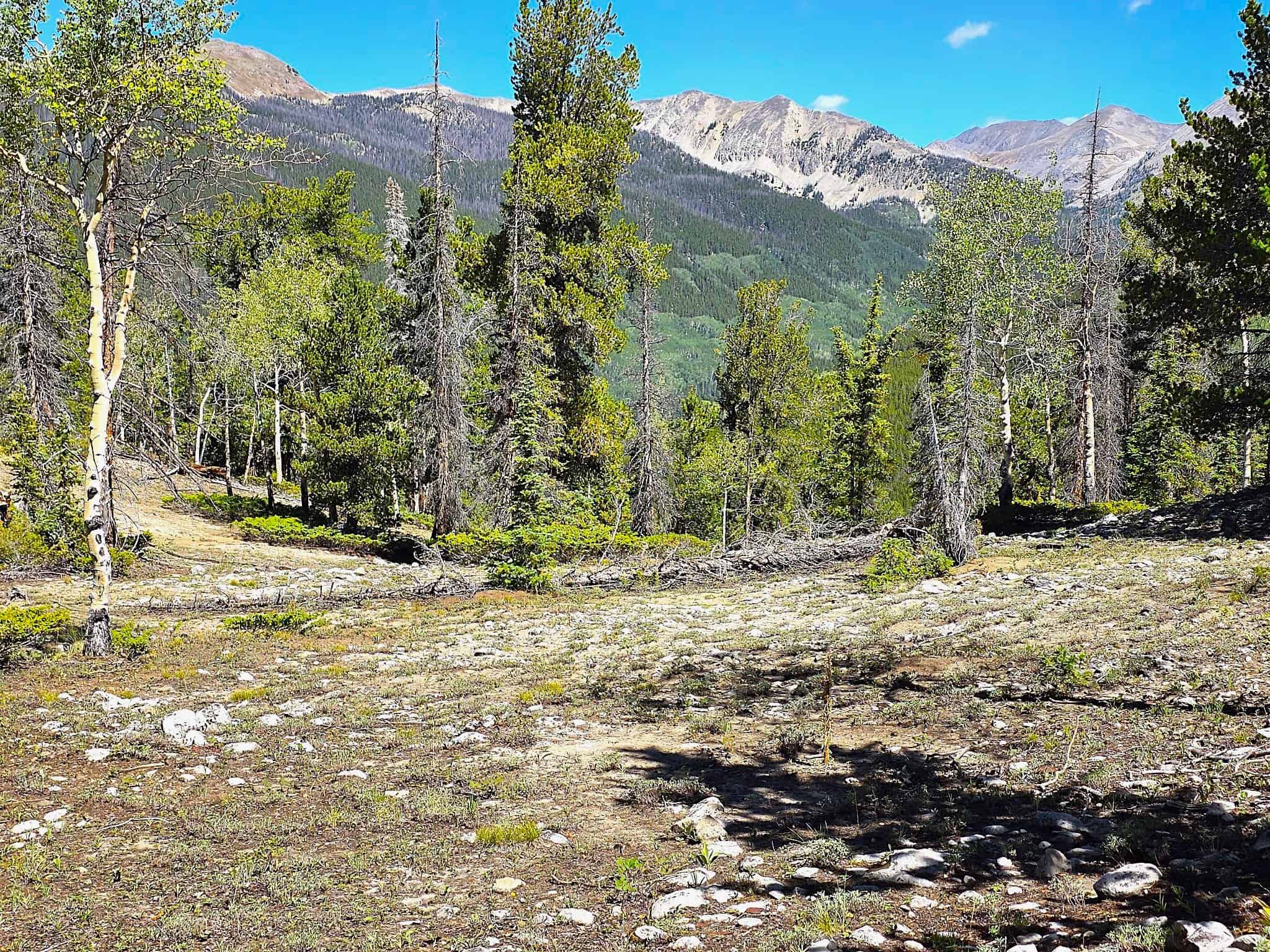 140 ± Acre Mountain Property for Sale in Whitepine, Colorado