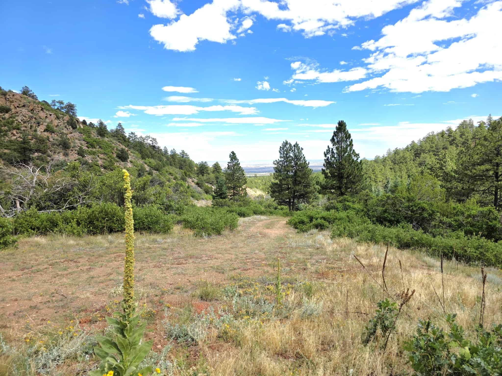 170.68 ± Acre Hunting Ranch by National Forest | Florence, CO