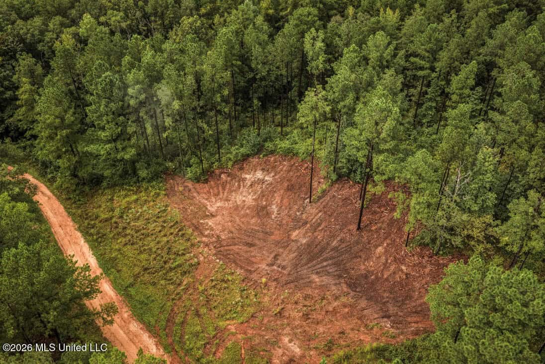 900 Acres for Sale – Hunter’s Paradise South Mississippi