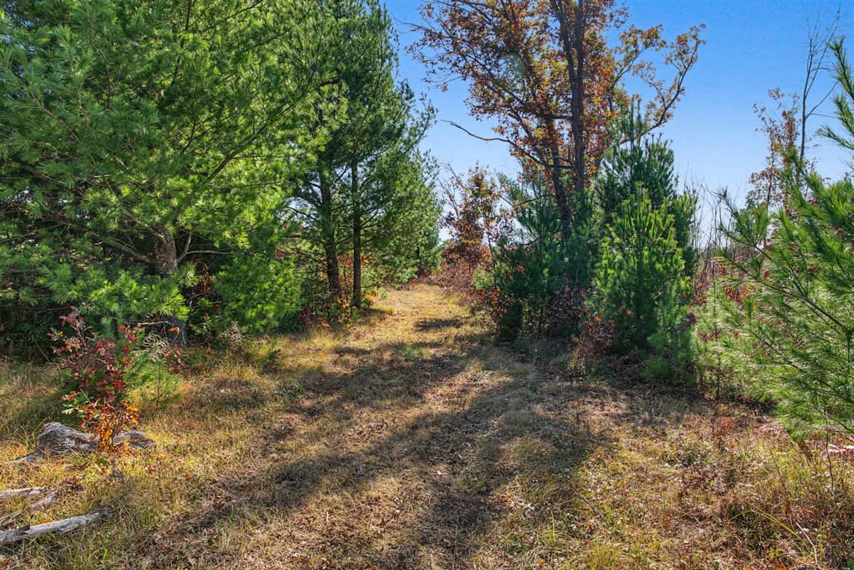 28± Acre Hunting Property with Cabin | Monroe County, Wisconsin