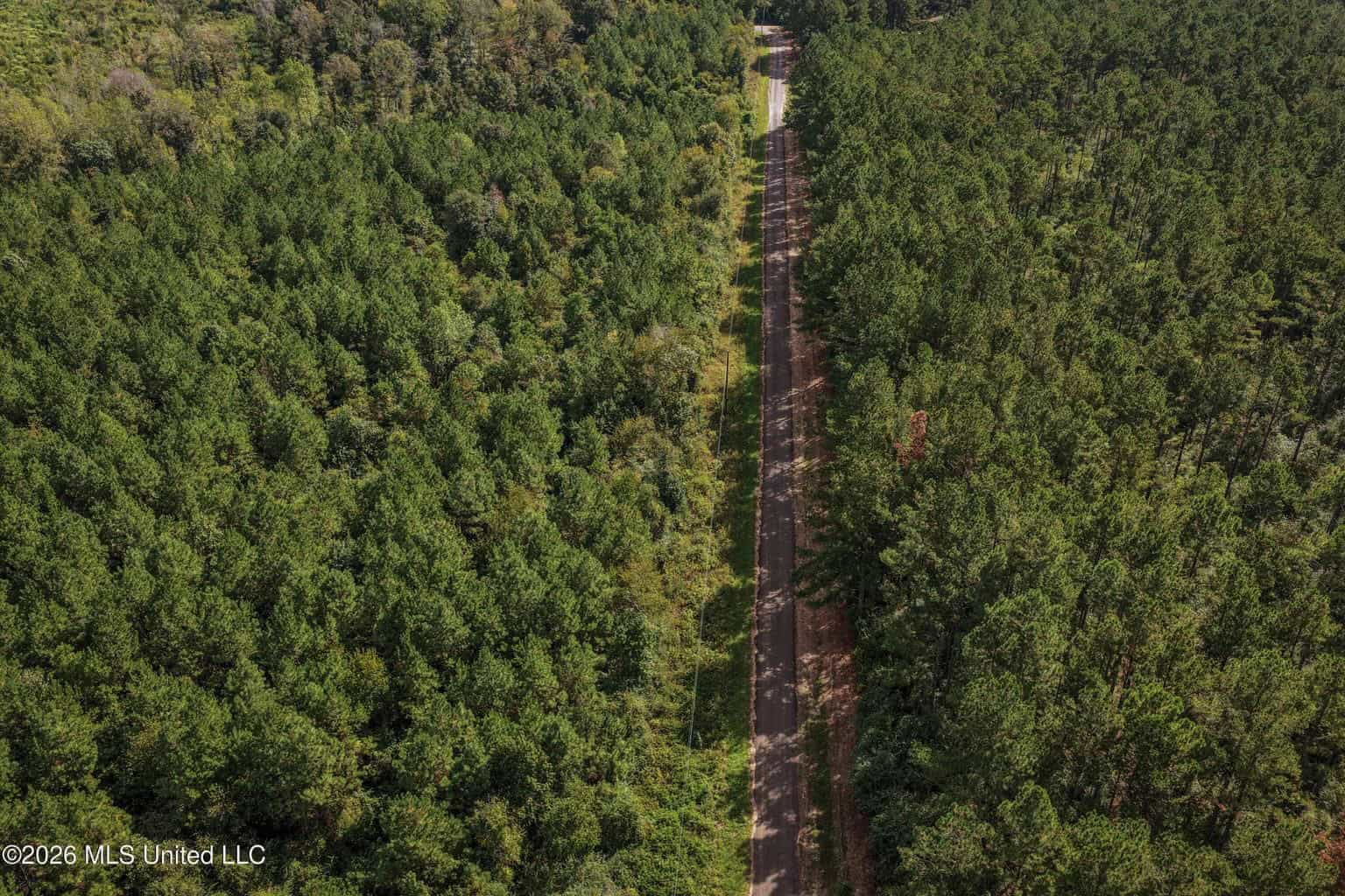 19.7+/- Acres of Wooded Land for Sale in Magnolia, MS