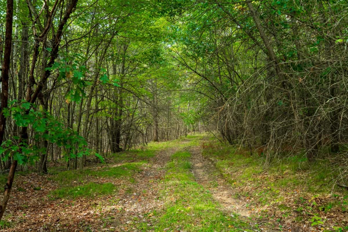 200± acres of Western Wisconsin recreational country Eau Claire Cty