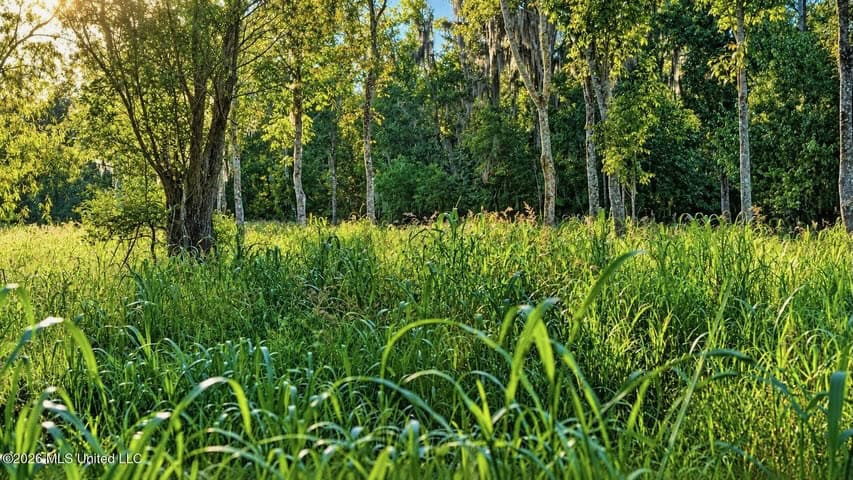 1979± Acre Hunting Plantation in White Castle, LA