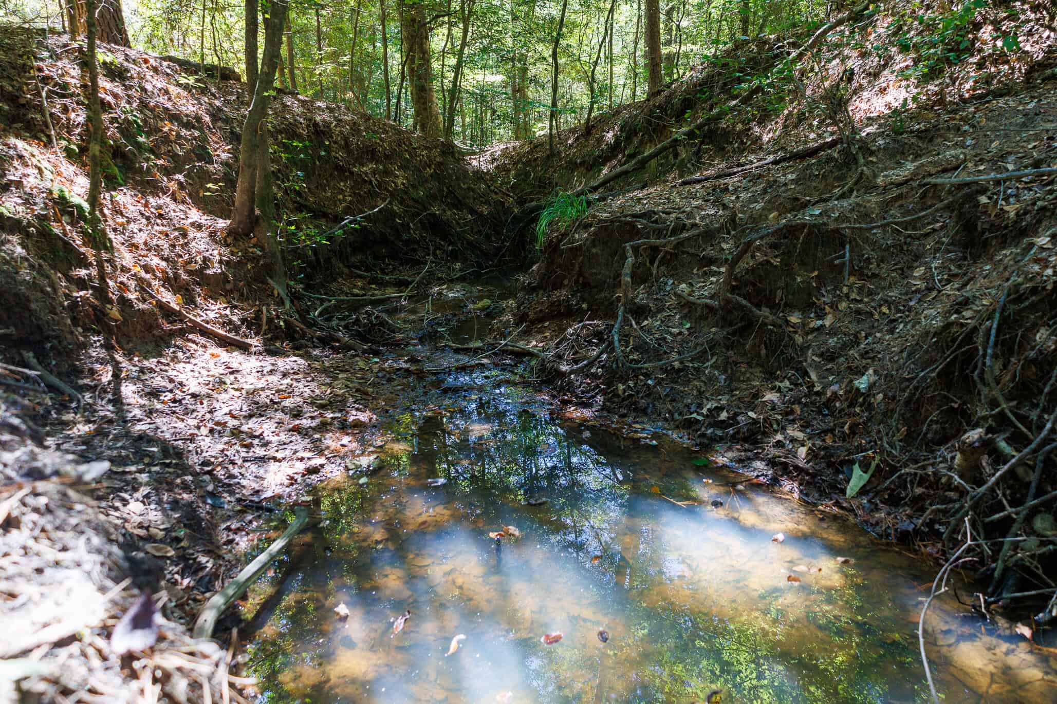 East Texas Recreational Land for Sale Gilmer TX Upshur County | Hunt & Timber