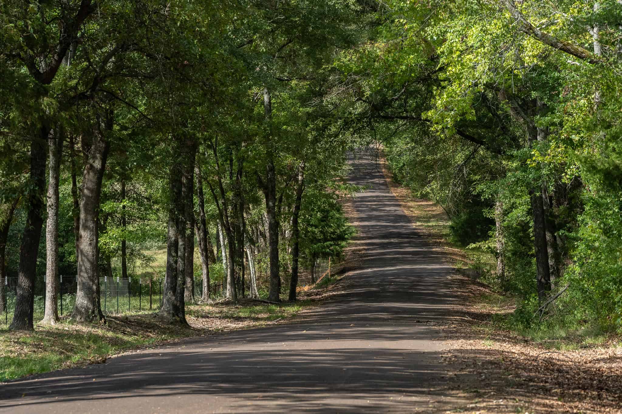 126-Acre Recreational Ranch for Sale in Mineola Texas Wood County