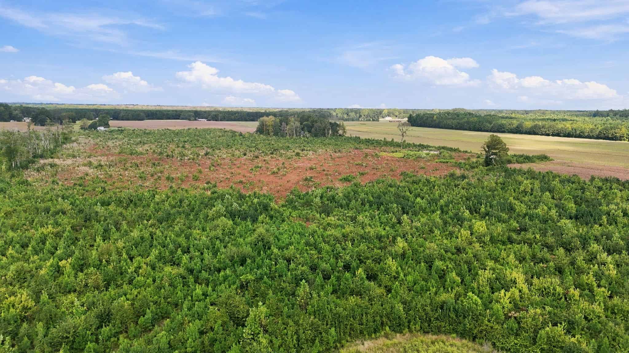 309-Acre Farm & Timberland for Sale in Beaufort County, NC