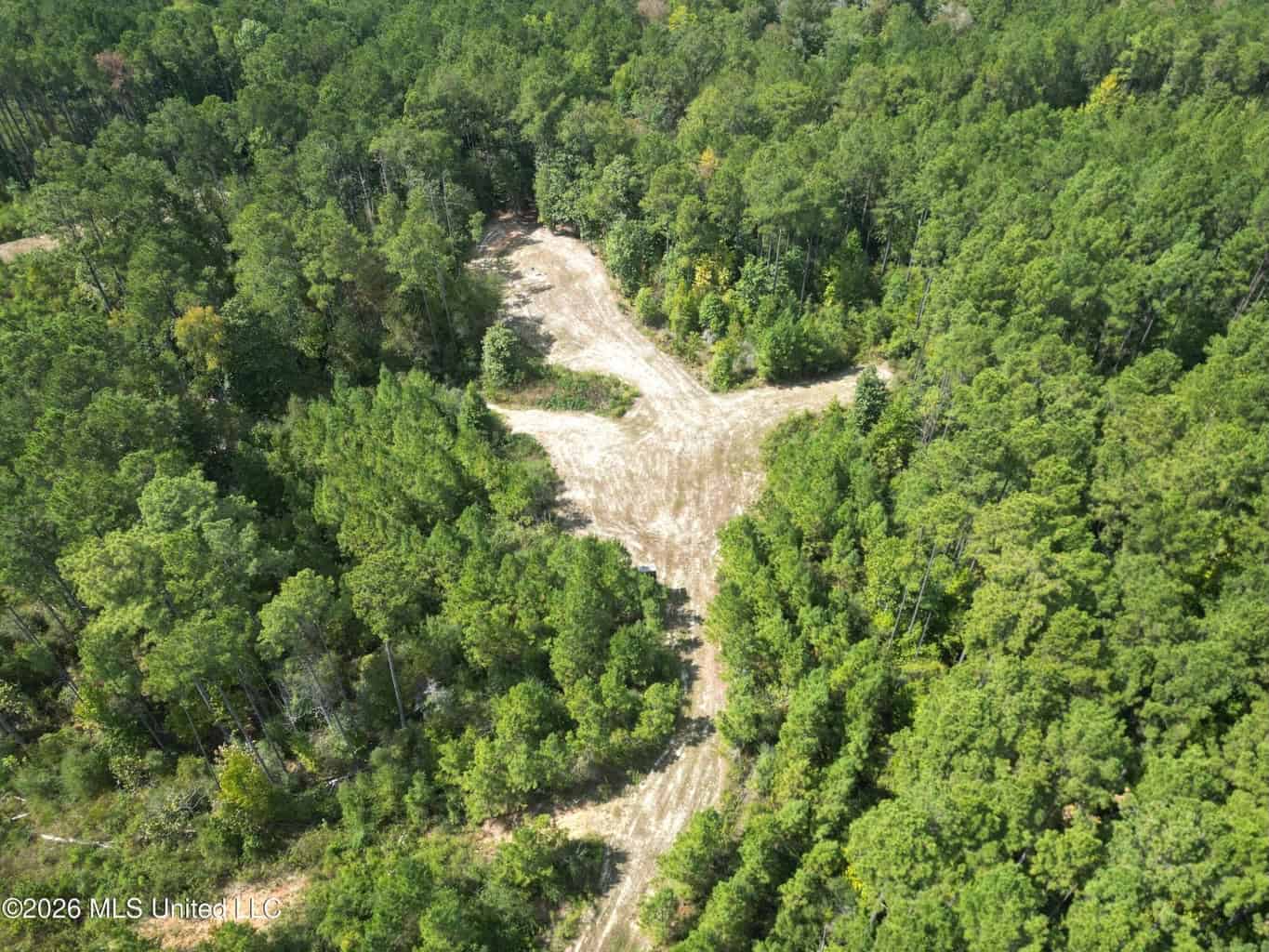 43± Acre Hunting Property in Amite County, MS