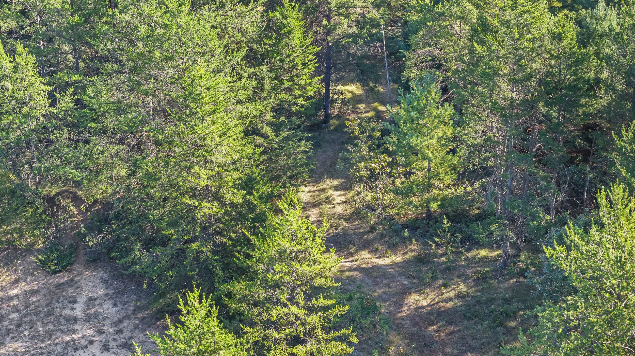 Buildable Hunting and Rec Property in Marquette County WI