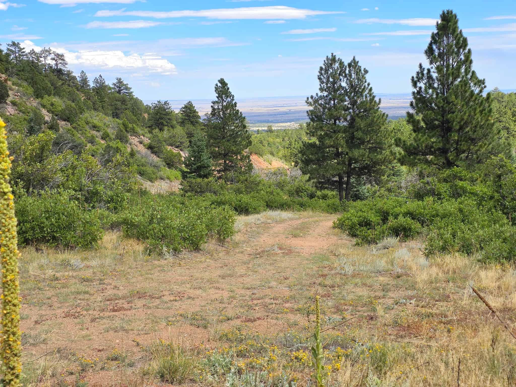 170.68 ± Acre Hunting Ranch by National Forest | Florence, CO