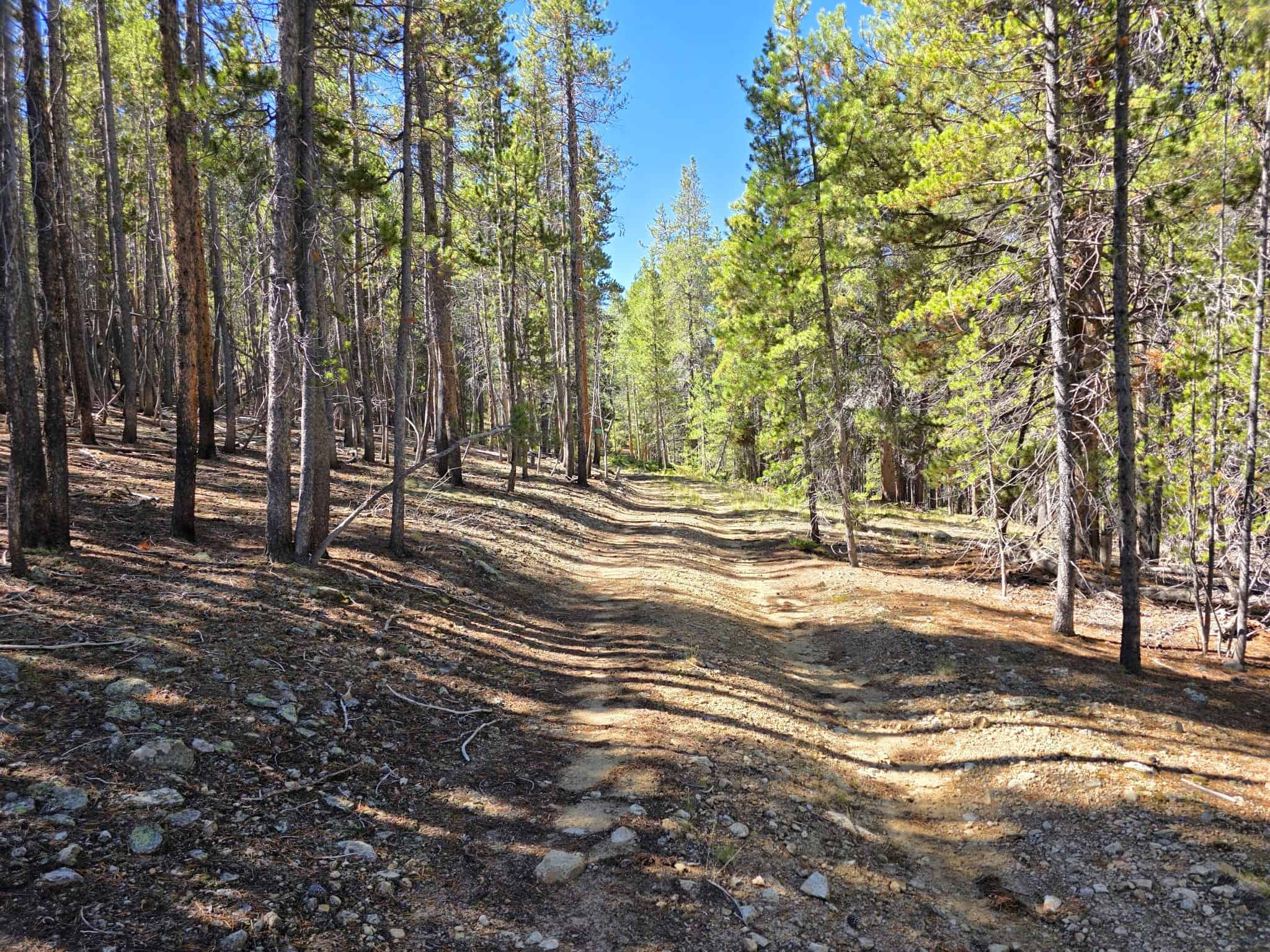 140 ± Acre Mountain Property for Sale in Whitepine, Colorado