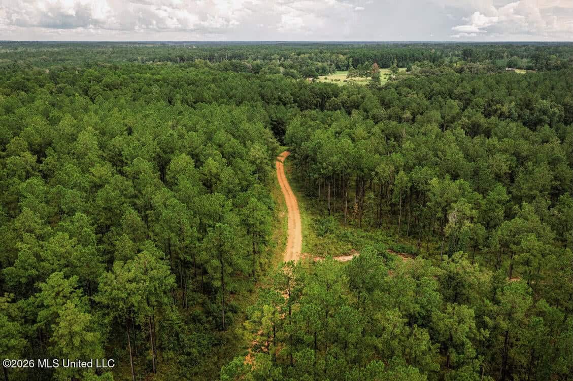 900 Acres for Sale – Hunter’s Paradise South Mississippi