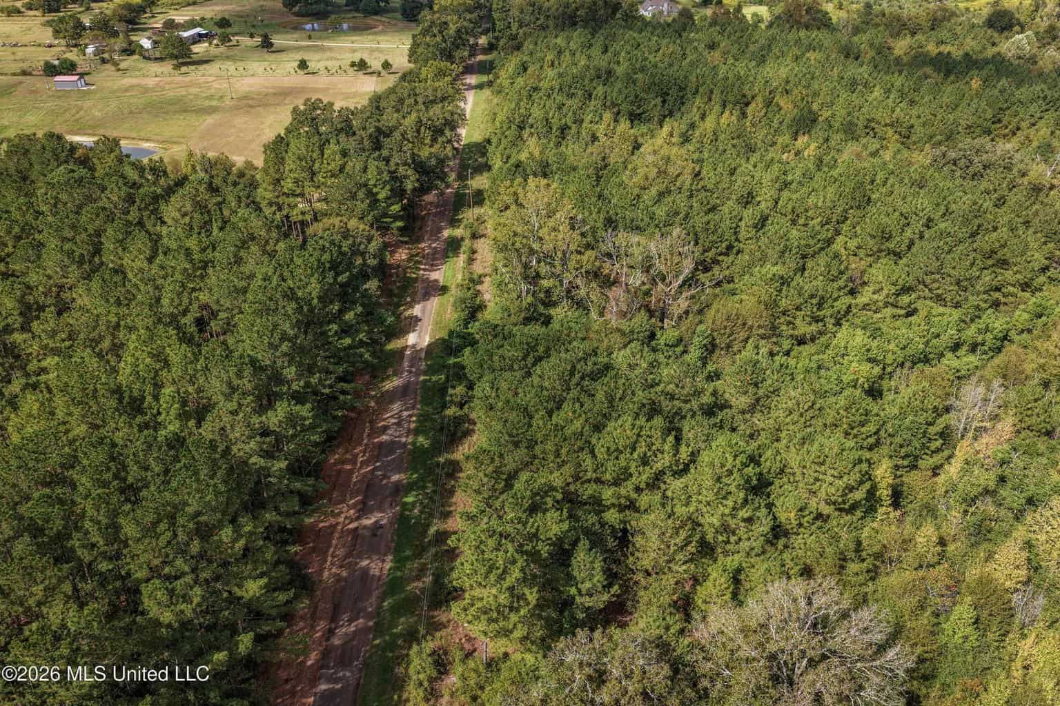 19.7+/- Acres of Wooded Land for Sale in Magnolia, MS