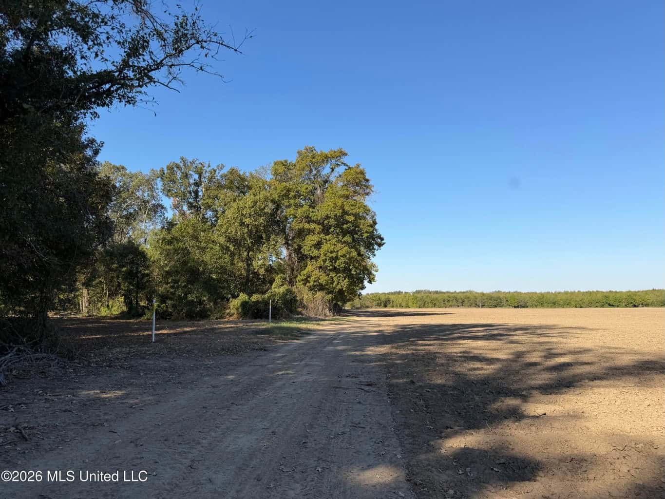 41.22 Acres MS Delta Duck Hunting