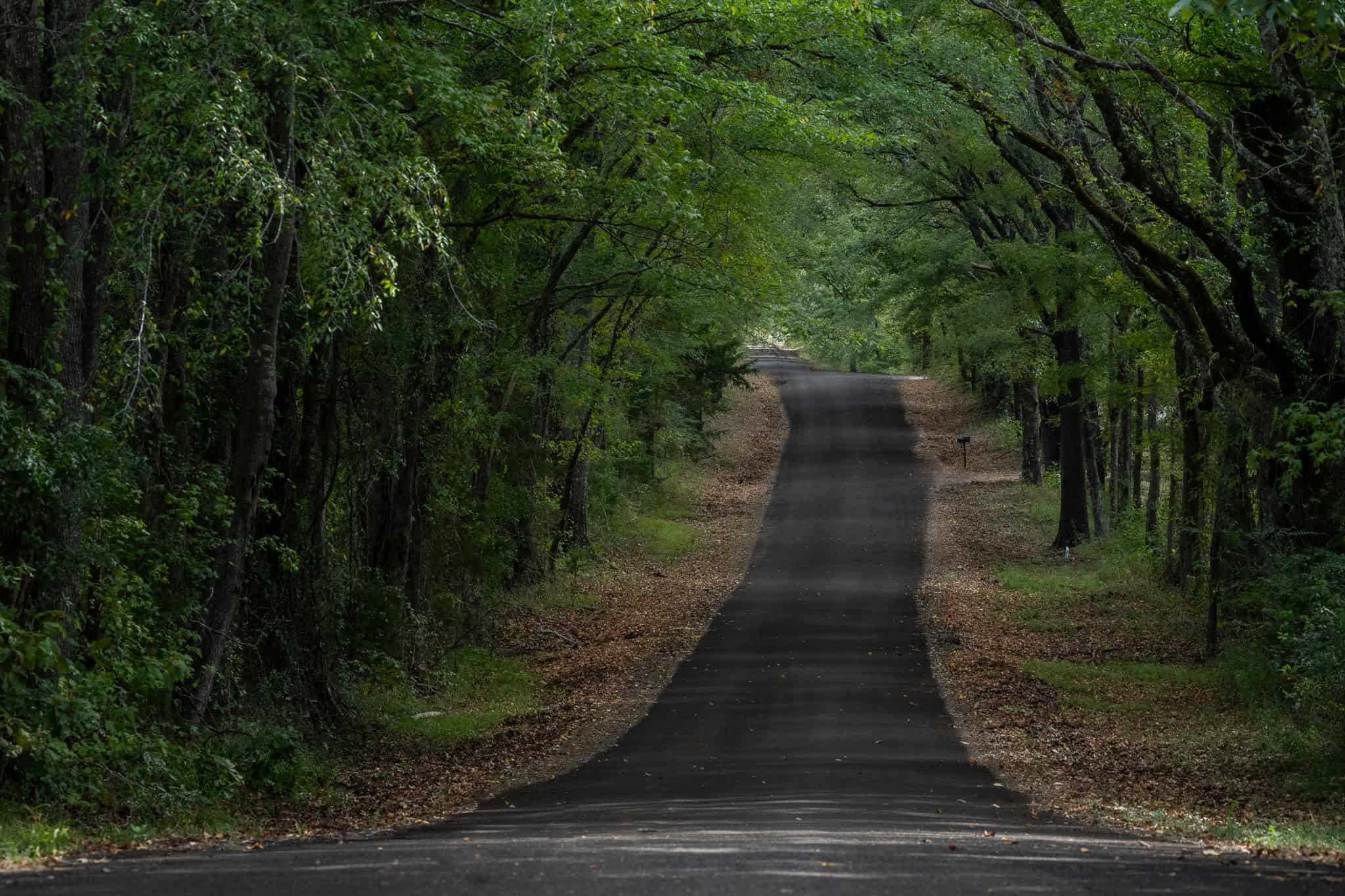 126-Acre Recreational Ranch for Sale in Mineola Texas Wood County